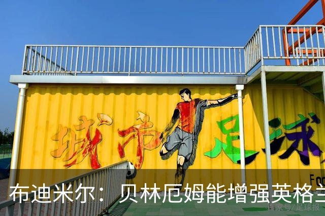 布迪米尔：贝林厄姆能增强英格兰实力 拉什福德总有关键表现