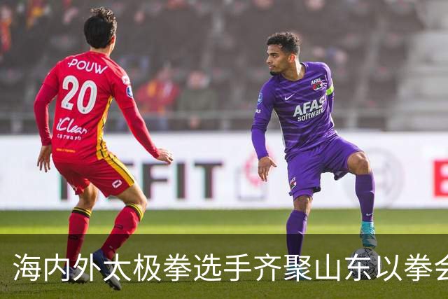 海内外太极拳选手齐聚山东以拳会友